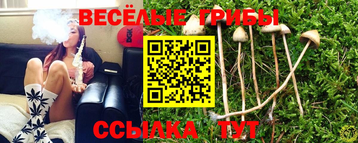 Ишимбай  Псилоцибиновые грибы мицелий  Вход с VPN 